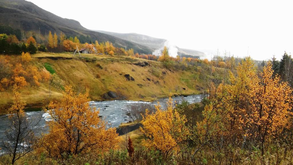 Frumskogar Guesthouse & Apartments Хверагерди Экстерьер фото